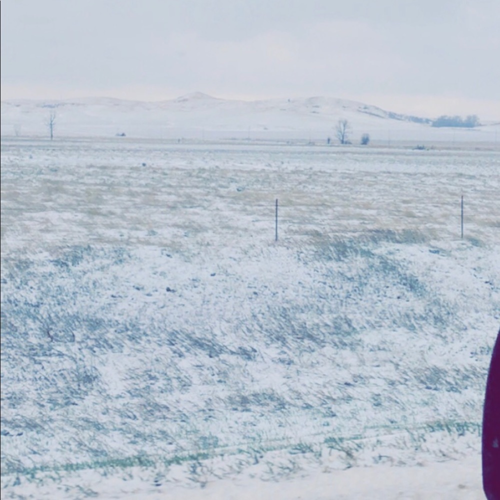 Meet your Posher, Matthew